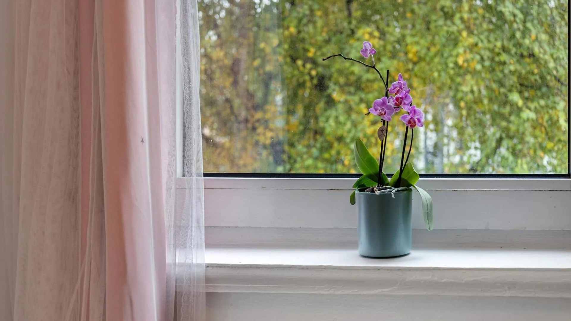 Haus Sonnenschein Apartment Hamburg